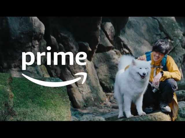 ふと見入ったCM