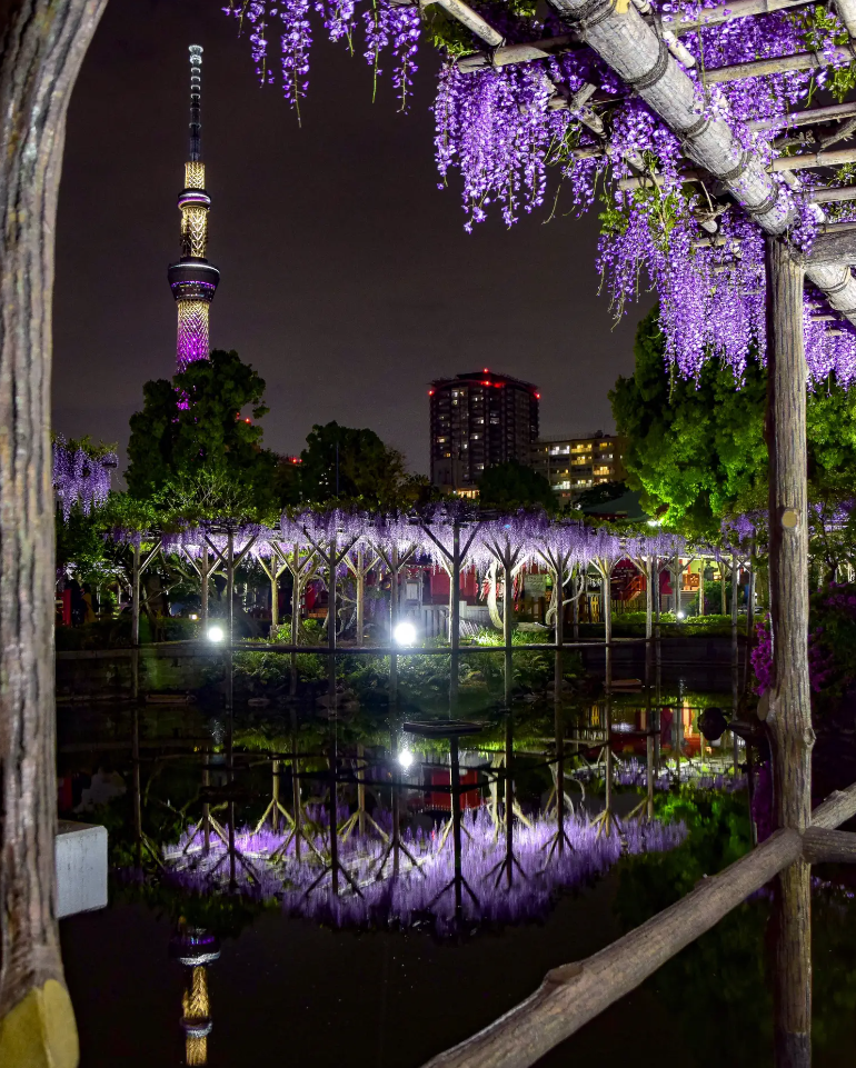 東京を感じる景色