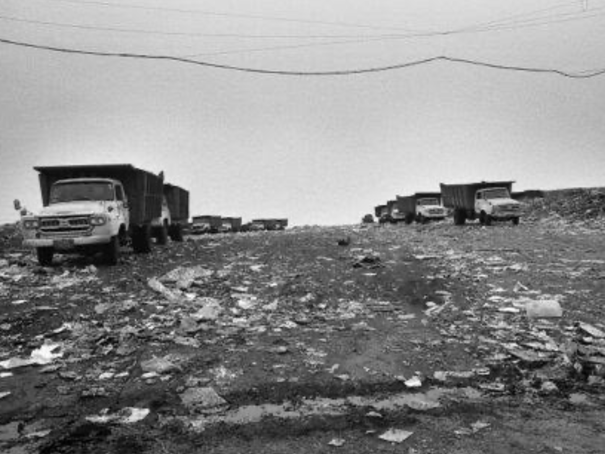 東京を感じる景色
