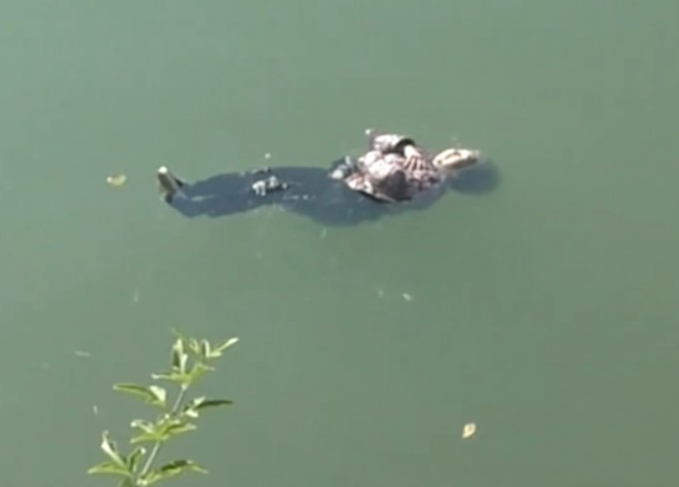川遊び中に流された中2の兄が死亡　小3の弟（8）を助けようとして溺れたか　約1時間後に80m下流の水中で発見【岡山・新見市】