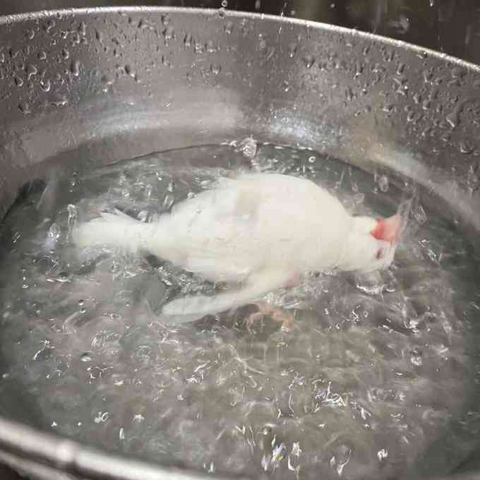 【暑いけど！】モフモフな動物さん集合！