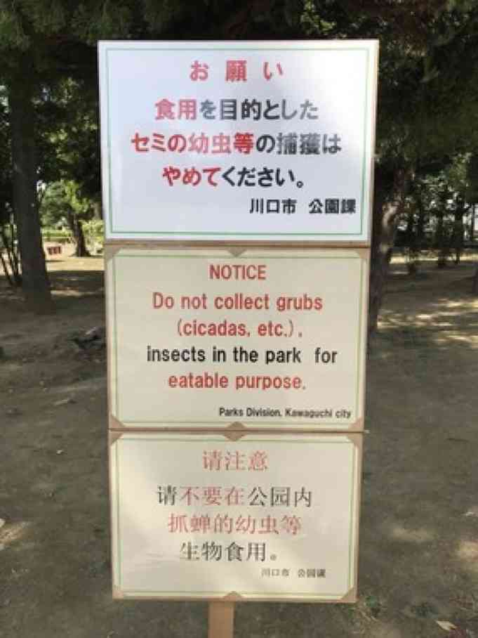 ノアの方舟について語るトピ