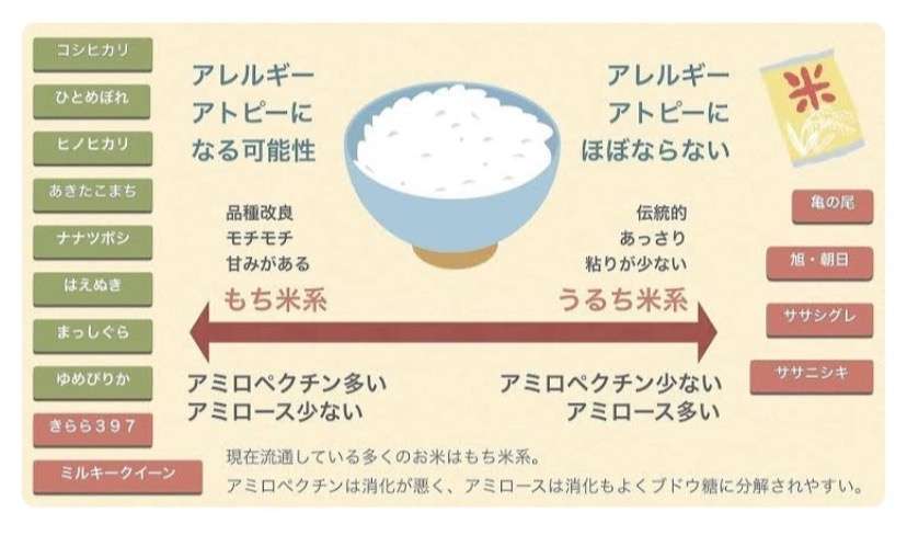 ノアの方舟について語るトピ