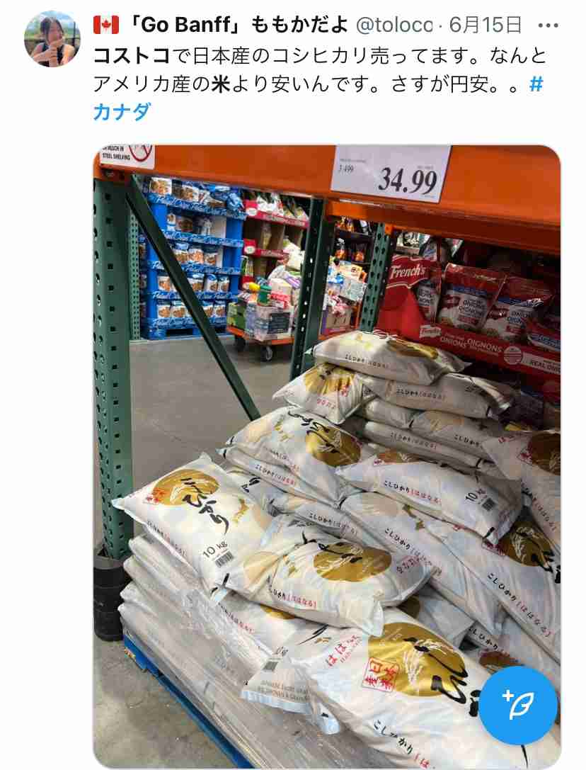 ノアの方舟について語るトピ