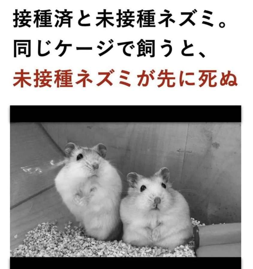 ノアの方舟について語るトピ