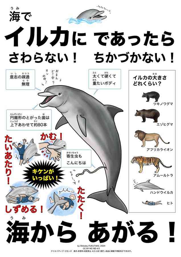 イルカによる被害３日連続 20代男性３人けが 美浜町