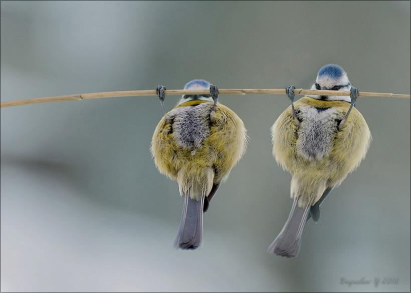 筋トレの効果が出る期間