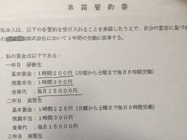 技能実習生の転職、要件明確に　失踪者は過去最多、対策強化へ