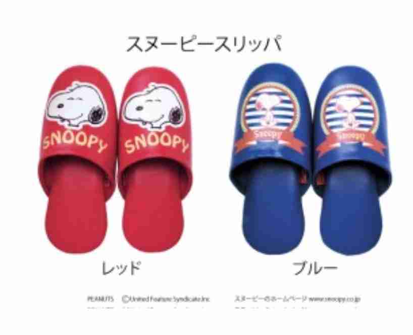 「絶対に無理」「何か菌がついているのでは」　学校や病院の「共用スリッパ」にSNSで“拒否反応”続出