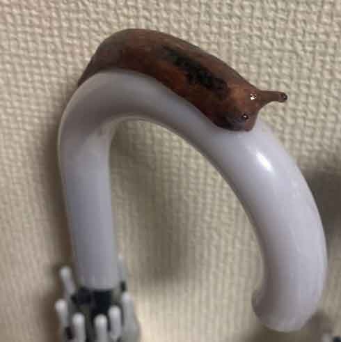 私物を盗まれる職場