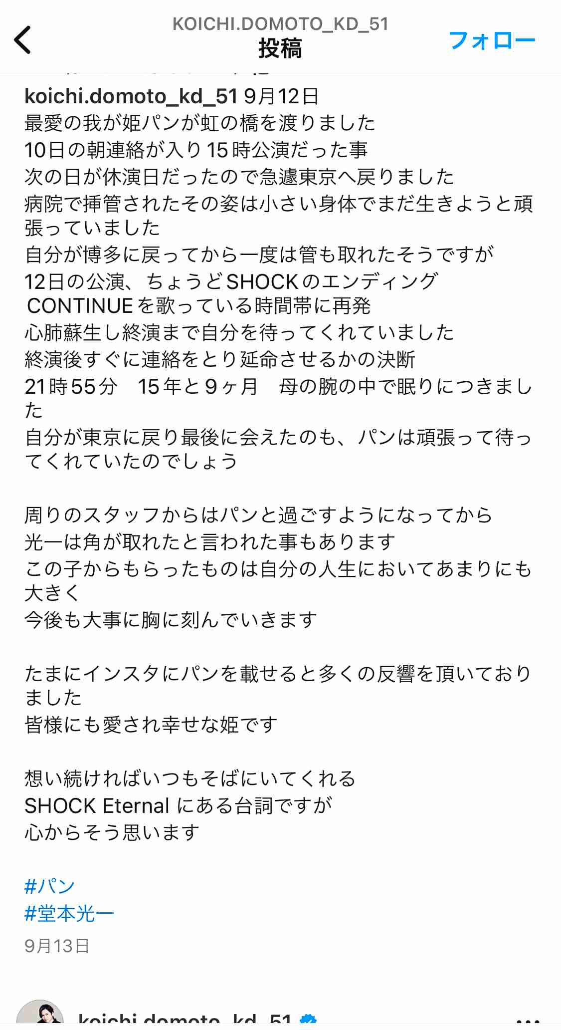 亡くなったペットとの思い出を教えて