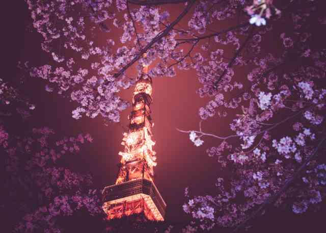 東京都内住んでいるけど、行ったことがない都内観光名所