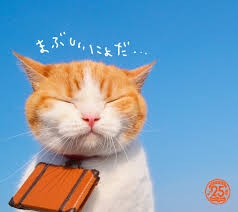 え、可愛い。と思ったCM Part4