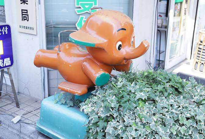 久しぶりに見たと思わせてください