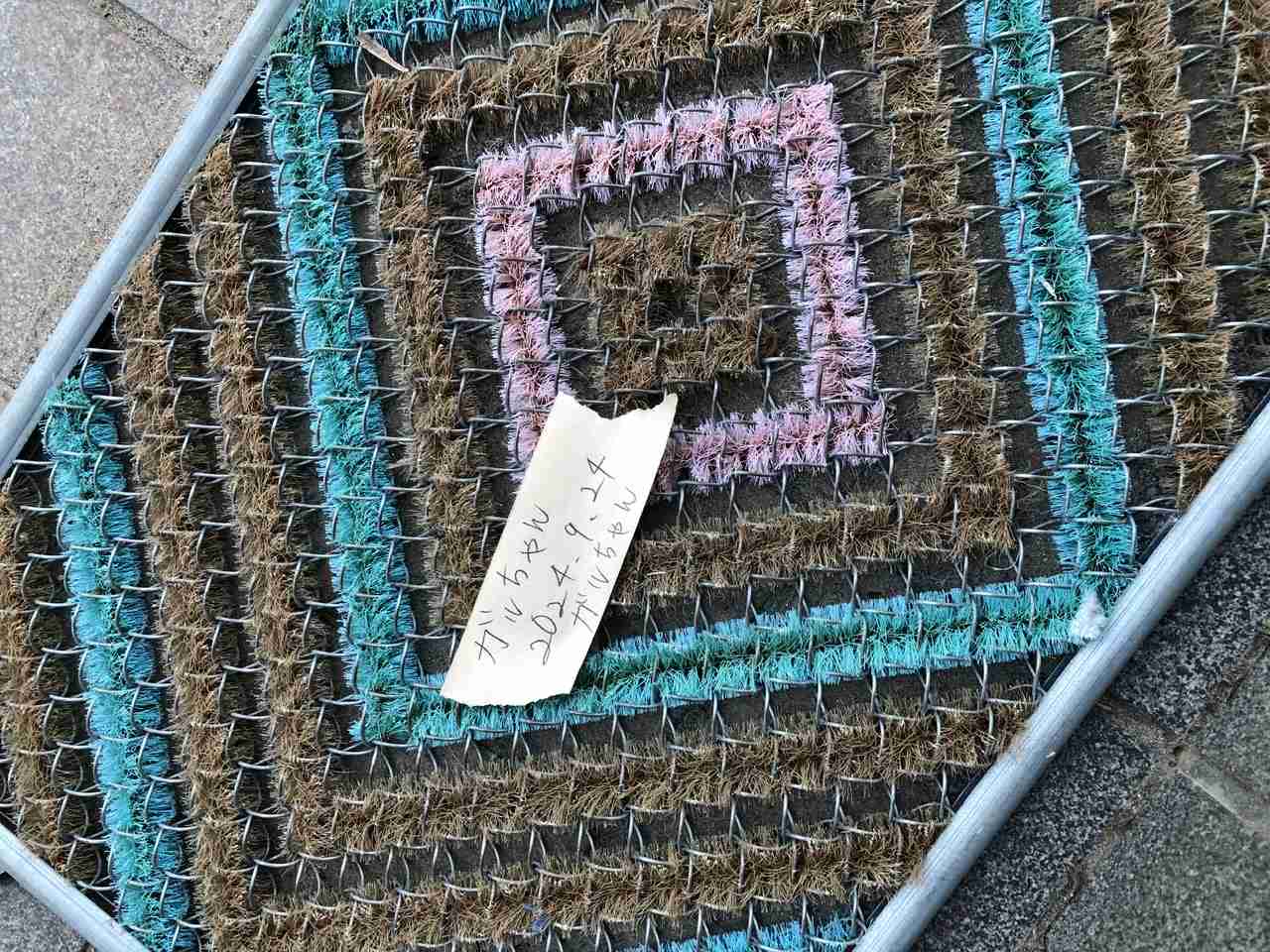 久しぶりに見たと思わせてください