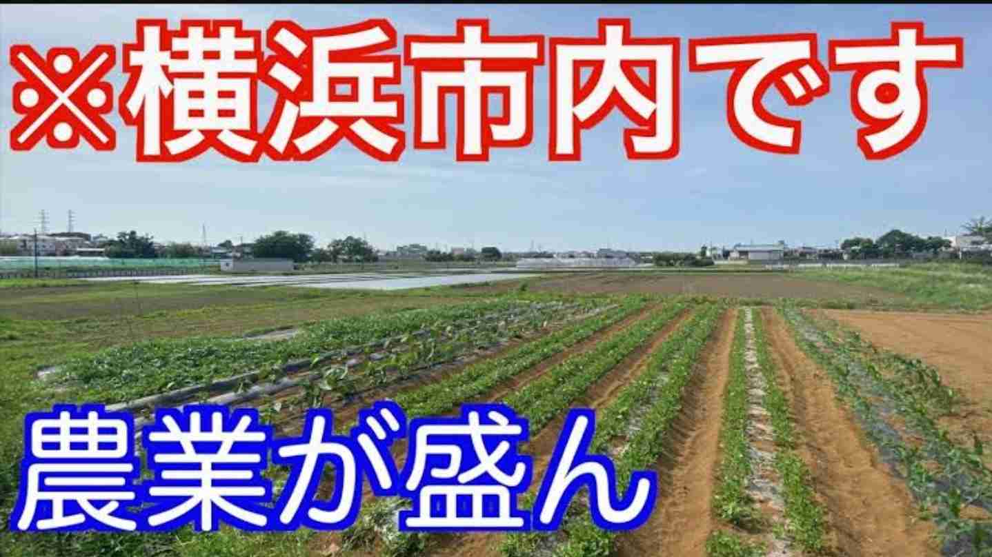 横浜市って住みにくくないですか?