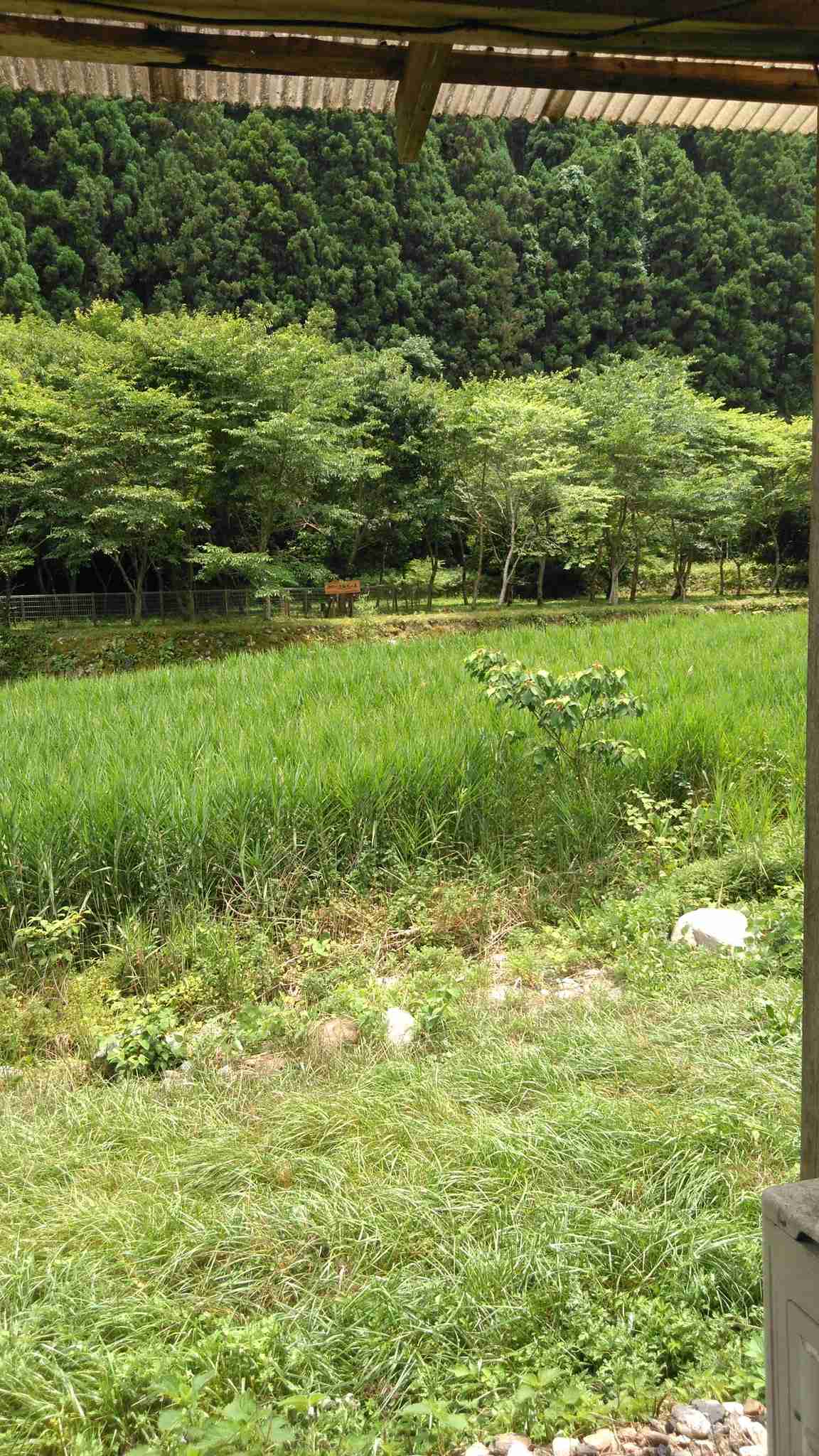 横浜市って住みにくくないですか?
