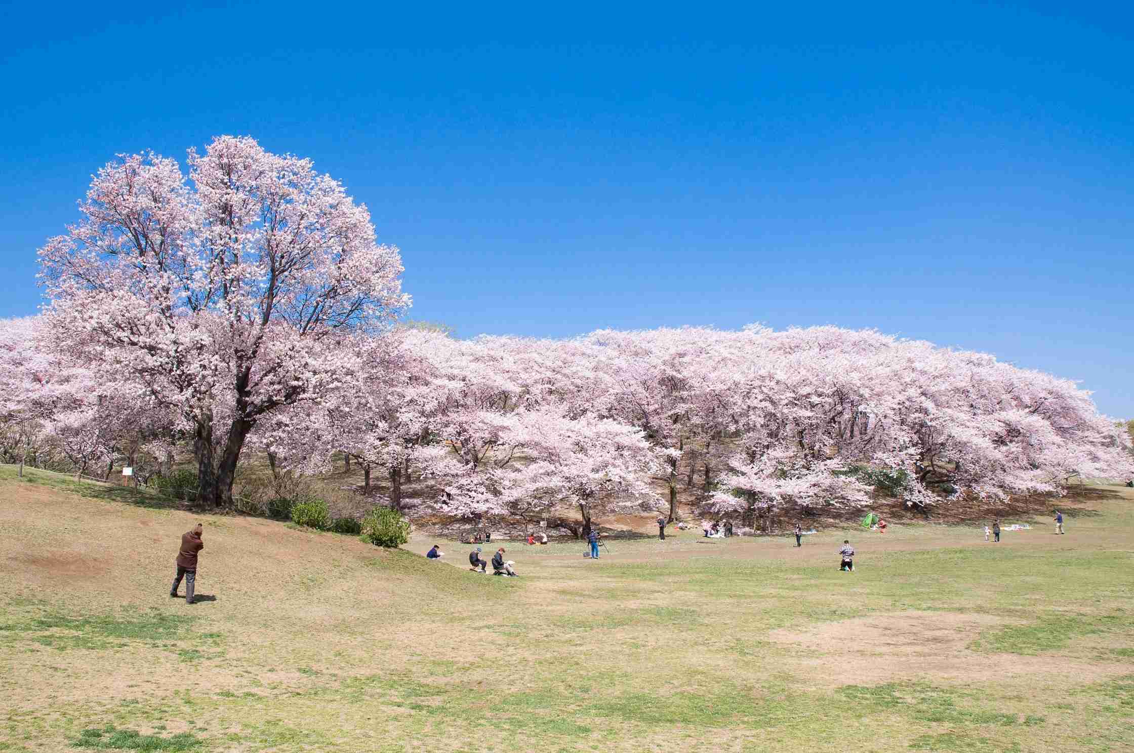 横浜市って住みにくくないですか?