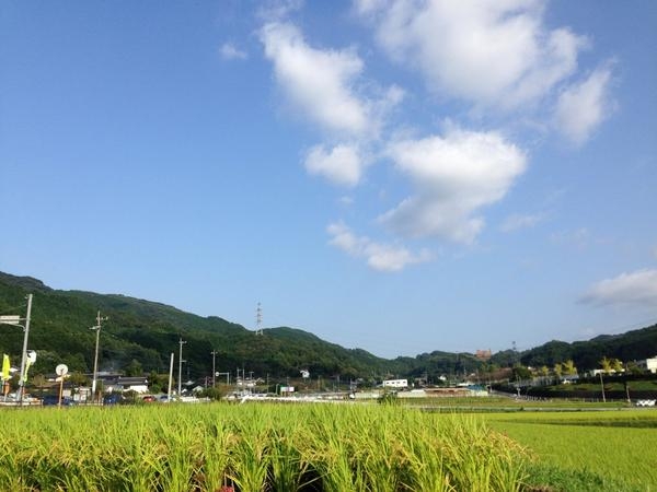 横浜市って住みにくくないですか？