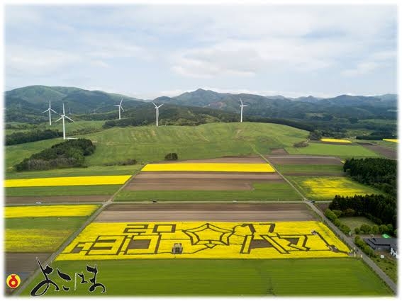 横浜市って住みにくくないですか?