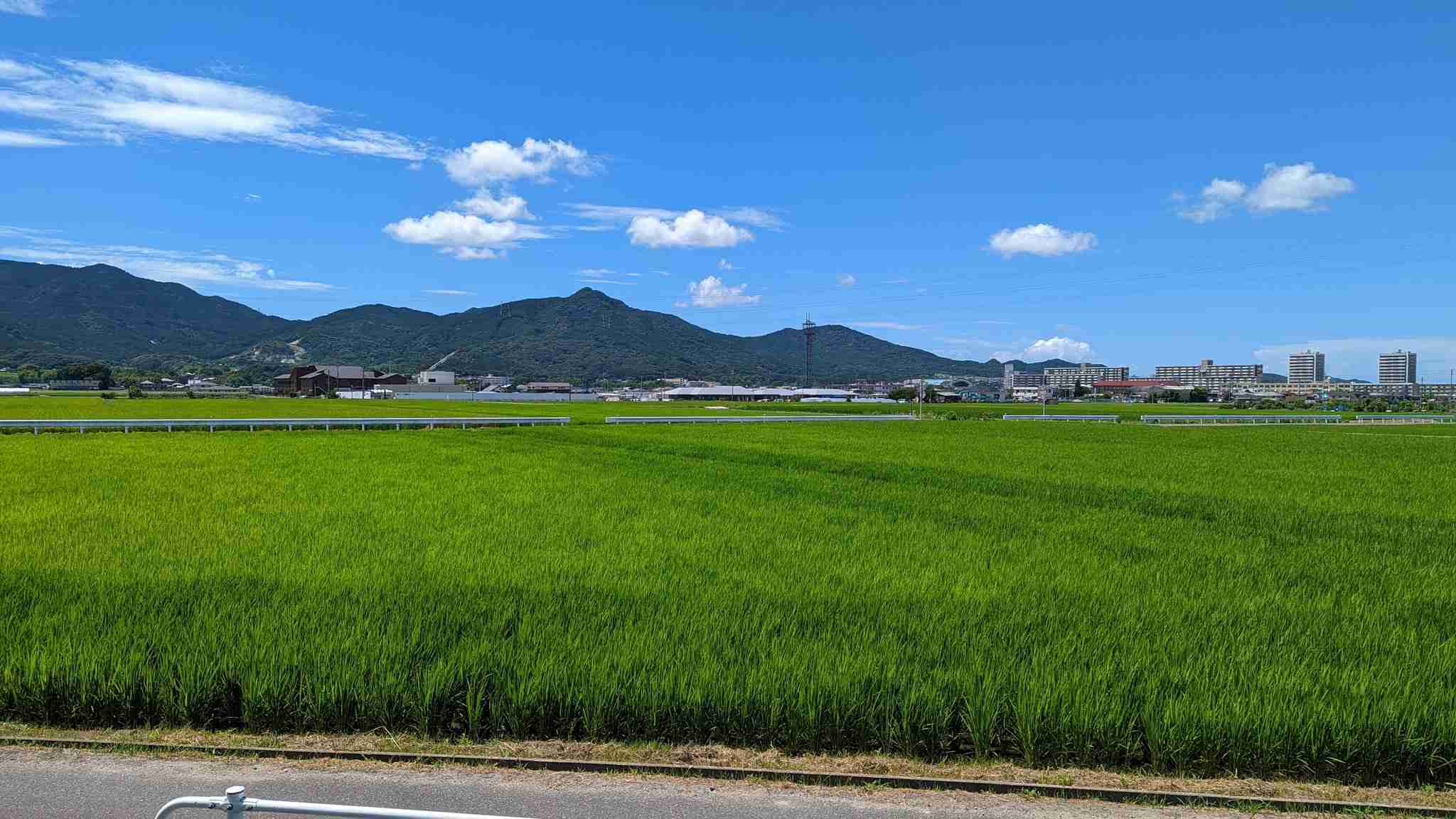 横浜市って住みにくくないですか?