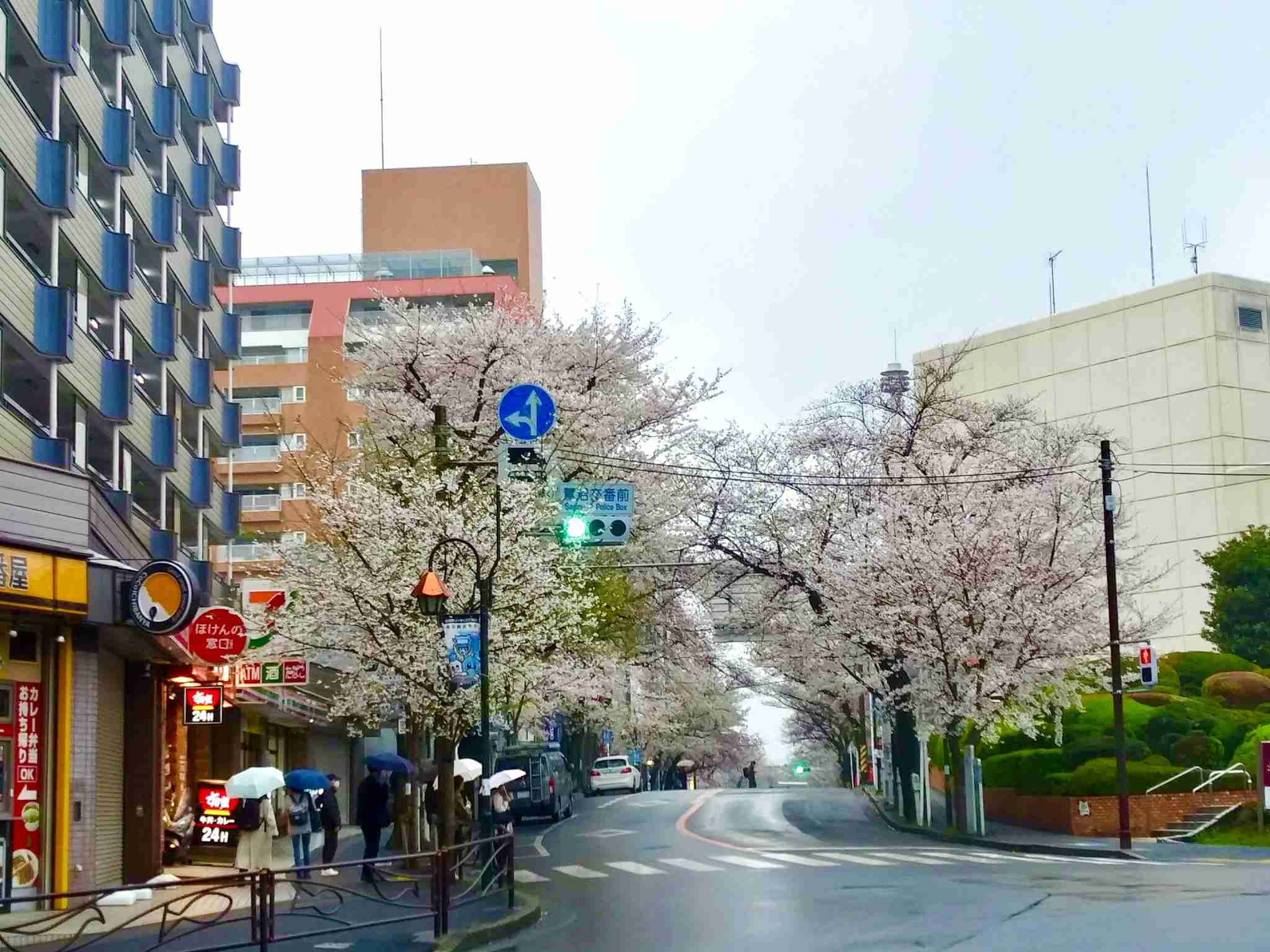 横浜市って住みにくくないですか？