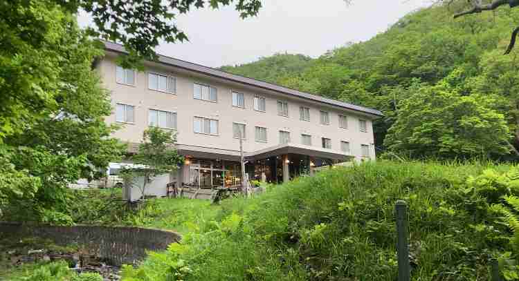 クマ出没過去最多ペース　親グマ捕獲増→歩き回る子グマ増の可能性も
