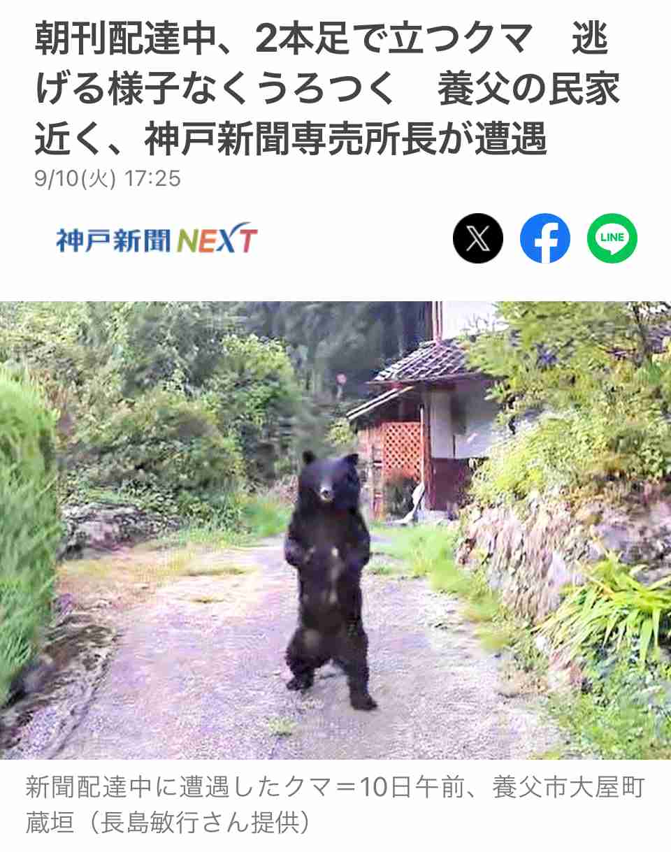 クマ出没過去最多ペース　親グマ捕獲増→歩き回る子グマ増の可能性も
