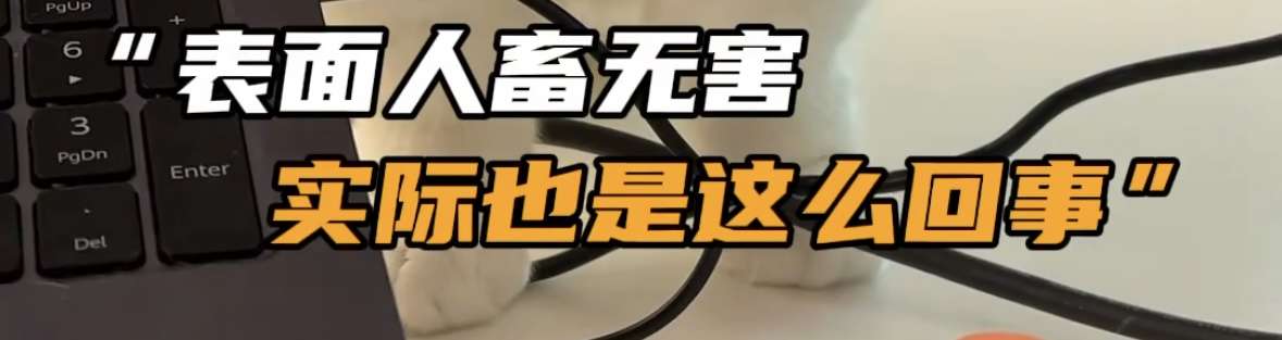 海自護衛艦 台湾海峡通過に中国外務省「越えてはならないレッドライン」と反発　抗議したことを明らかに