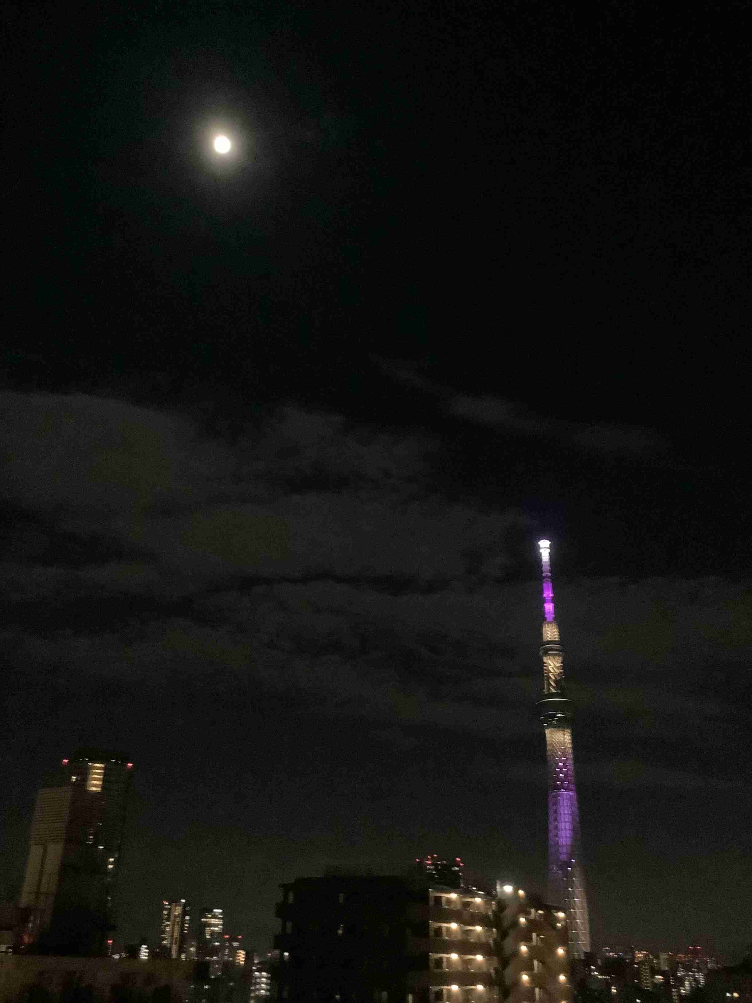 【2024年・中秋の名月】月にお願い!するだけのトピ