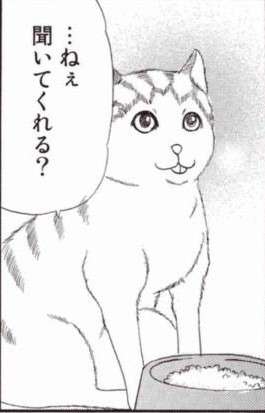 【2024年・中秋の名月】月にお願い!するだけのトピ