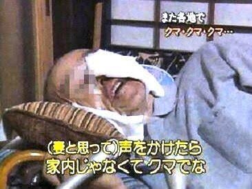家を出たら突然クマが… 男性襲われ、右耳かまれる 京都府南丹市