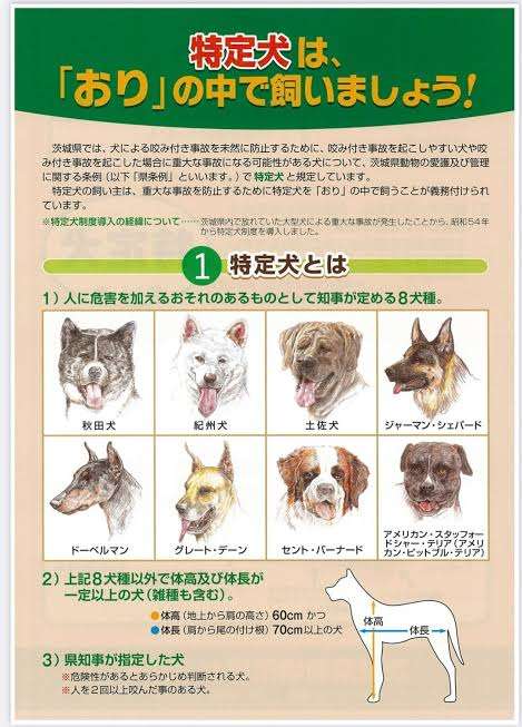 またピットブル逃走　こんどは茨城・小美玉　どう猛な犬種で要注意