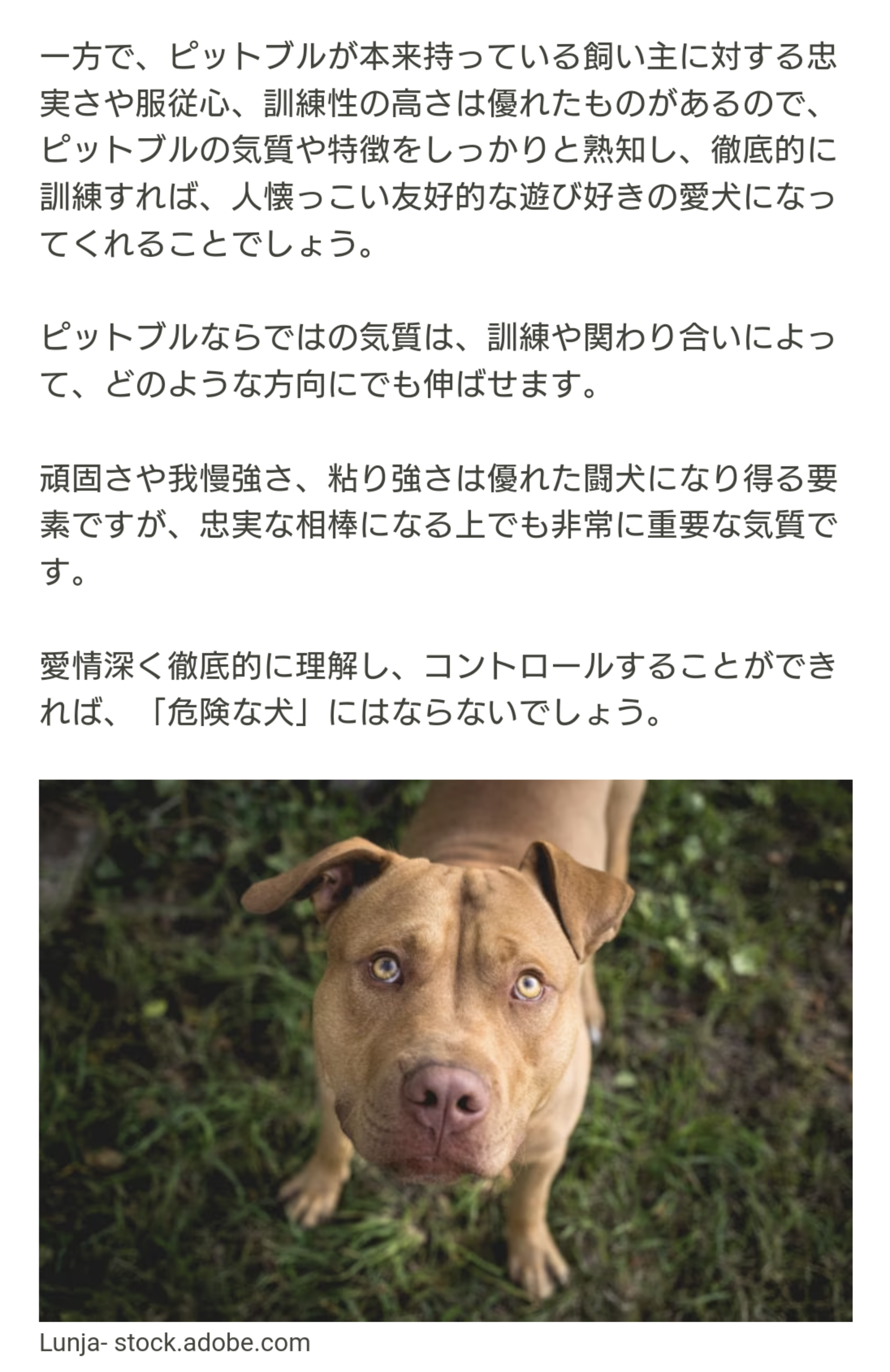 またピットブル逃走　こんどは茨城・小美玉　どう猛な犬種で要注意