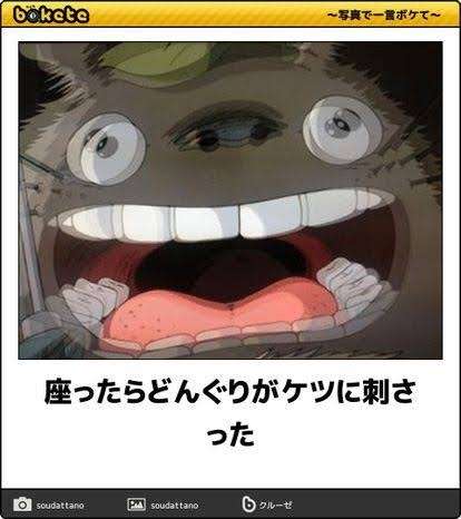 となりのトトロを大人目線で語るトピ