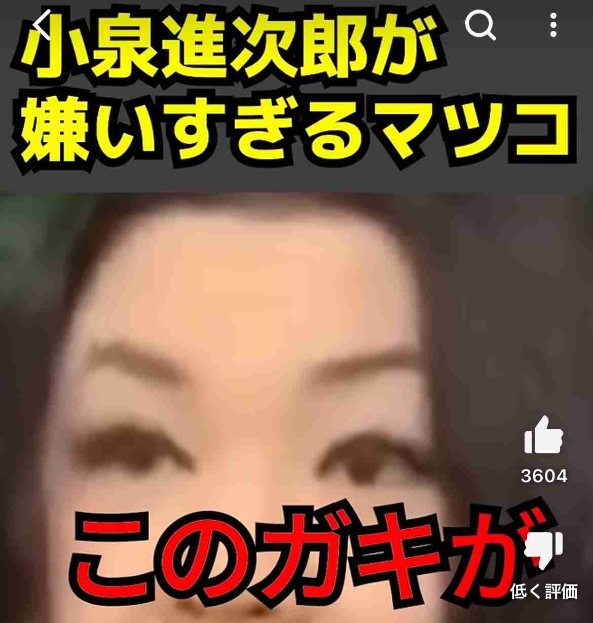 小泉氏58票でリード、党員票も優位　石破・高市両氏含め決選投票見通し　総裁選議員動向