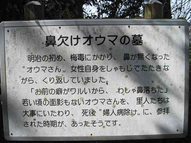 東京の梅毒感染者2400人超で過去最多ペースで増加…内訳は男性7割女性3割　無料・匿名の検査相談室を新宿や多摩地域に設置