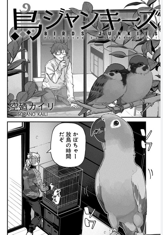 【世界最小のオウム】オカメインコ好きな人、飼ってる人【オレンジチーク】