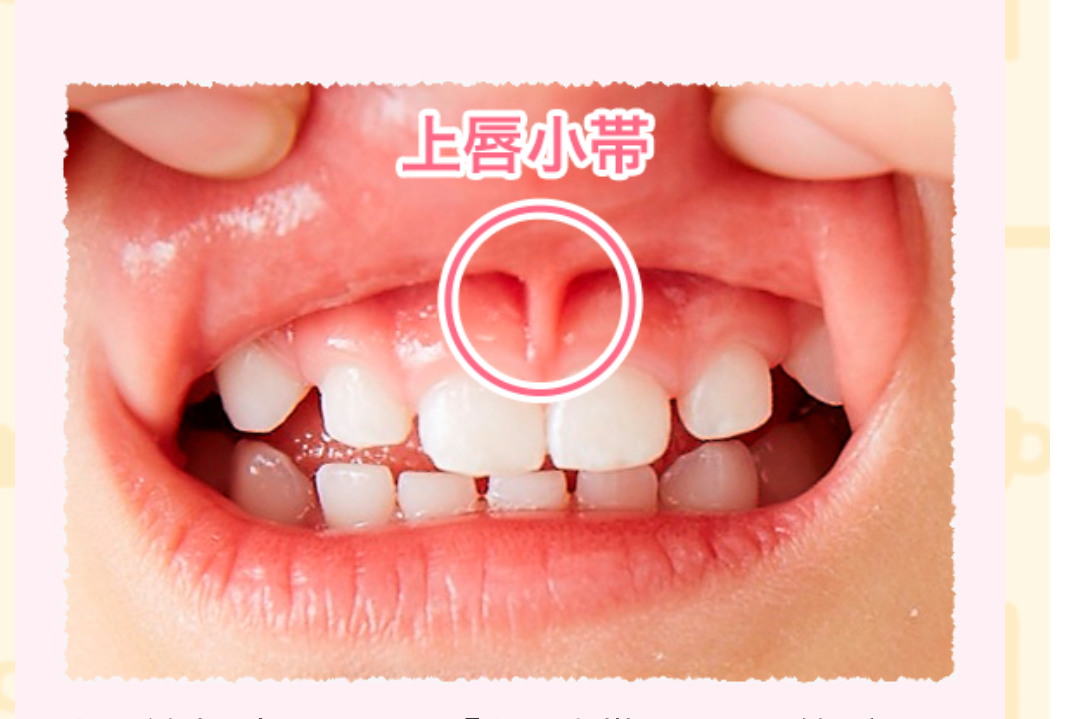 1歳児の母が語るトピPart86