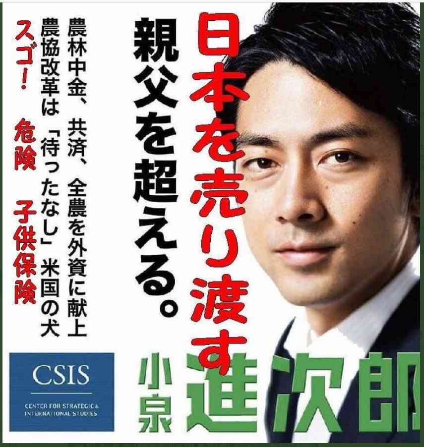 総裁選出馬の小泉進次郎氏「長年の課題に決着つける」 銀座の街頭演説に約5千人