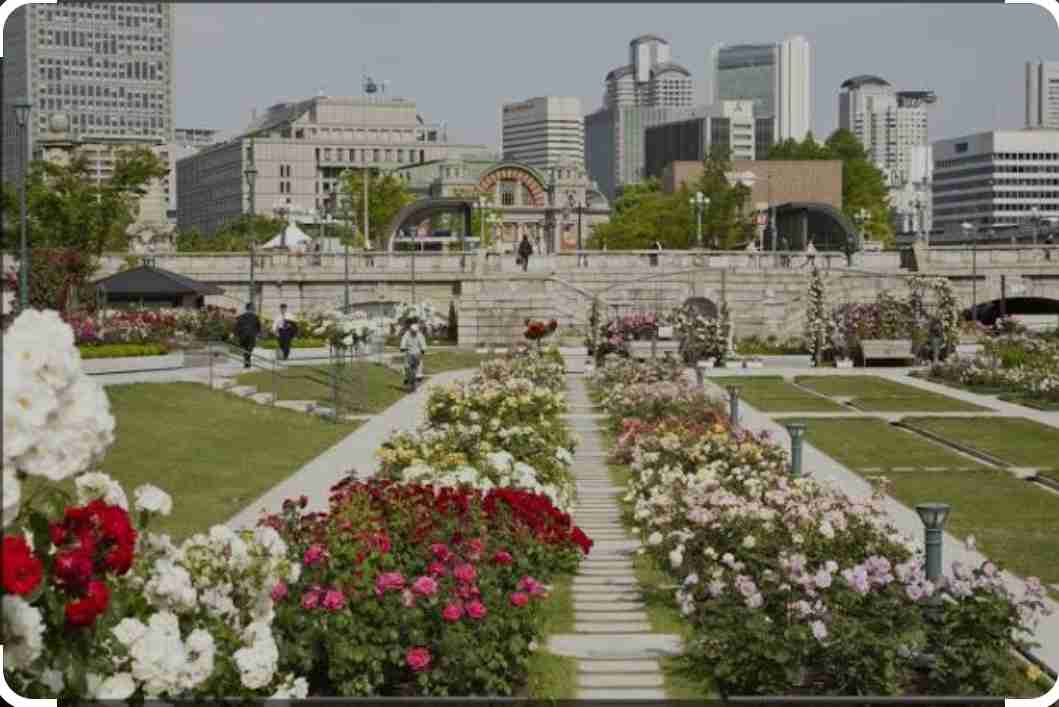 福岡と大阪、どっちが住みやすいですか？