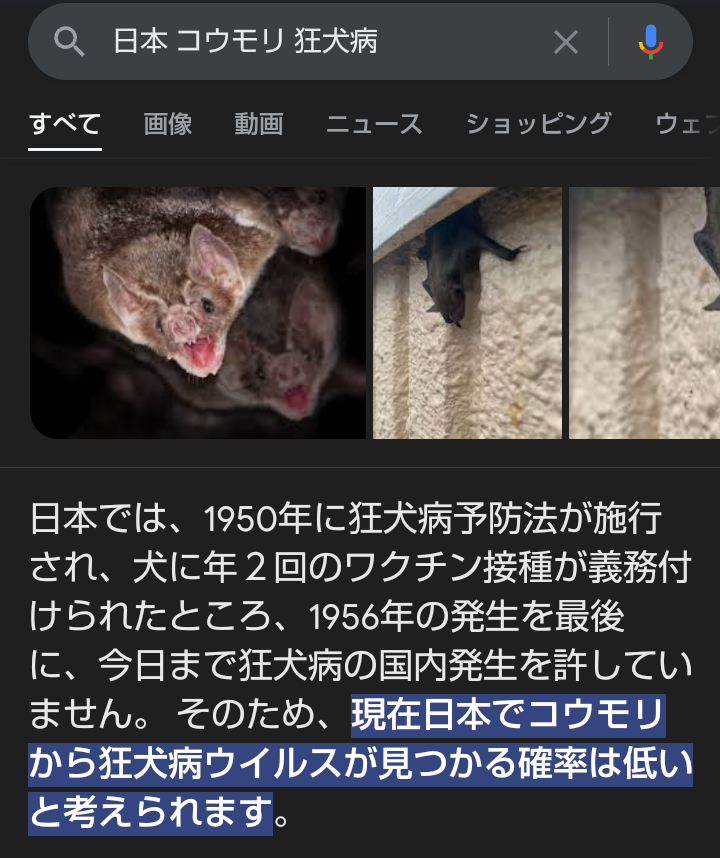 就寝中の寝室にコウモリが侵入し、子供が狂犬病で死亡「咬傷がなかった」と両親(カナダ)