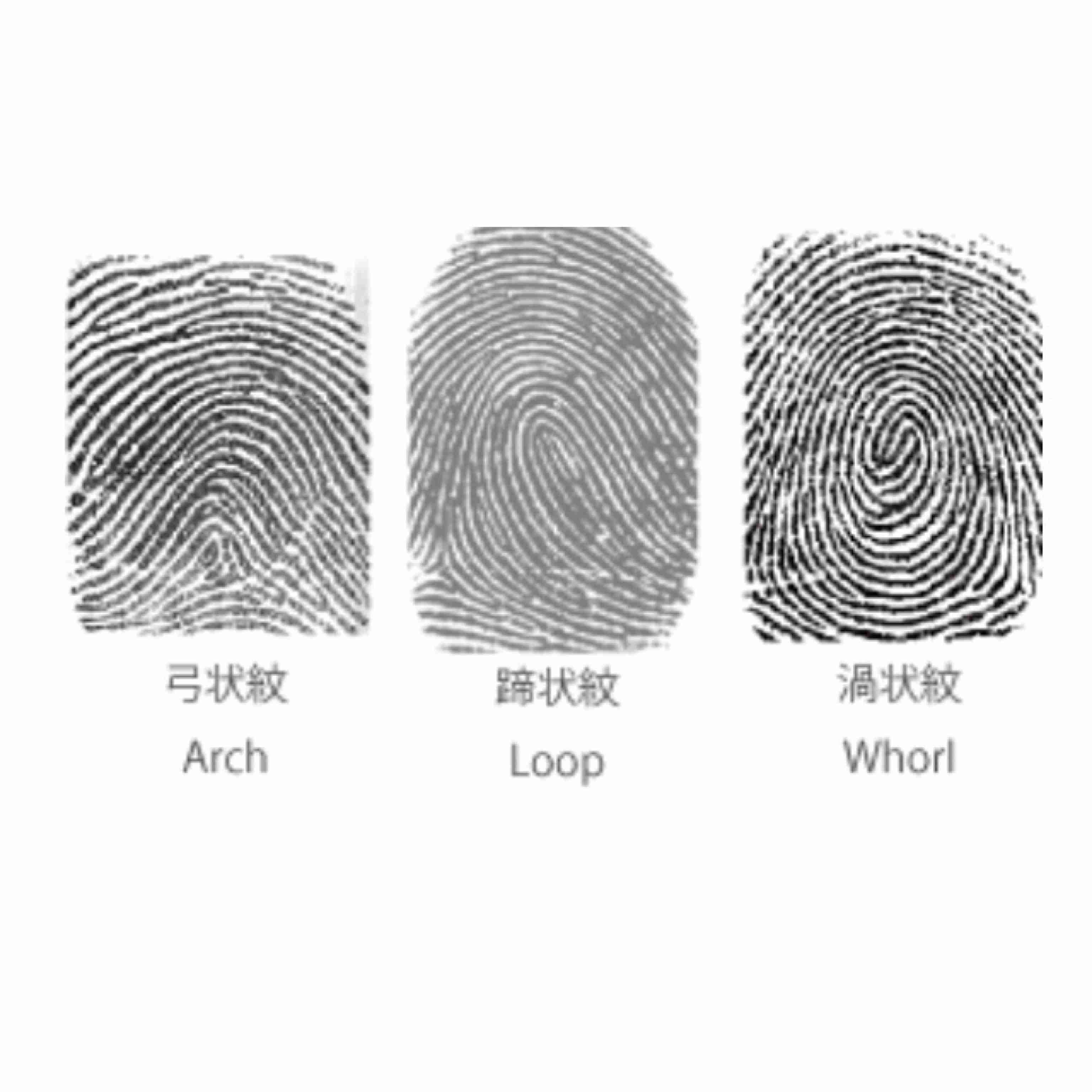 就寝中の寝室にコウモリが侵入し、子供が狂犬病で死亡「咬傷がなかった」と両親(カナダ)