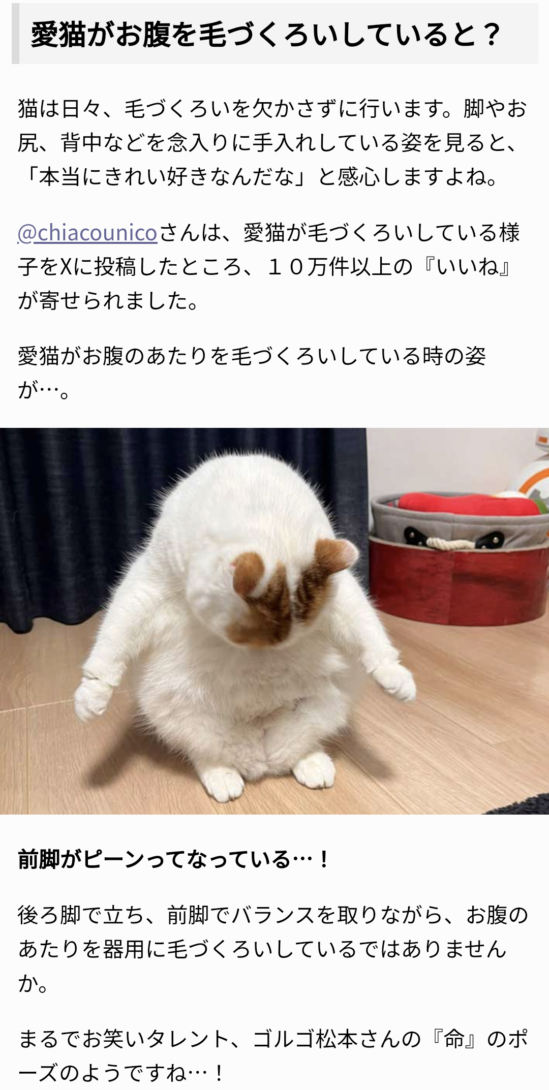 ドラマや映画リメイク版の成功&失敗