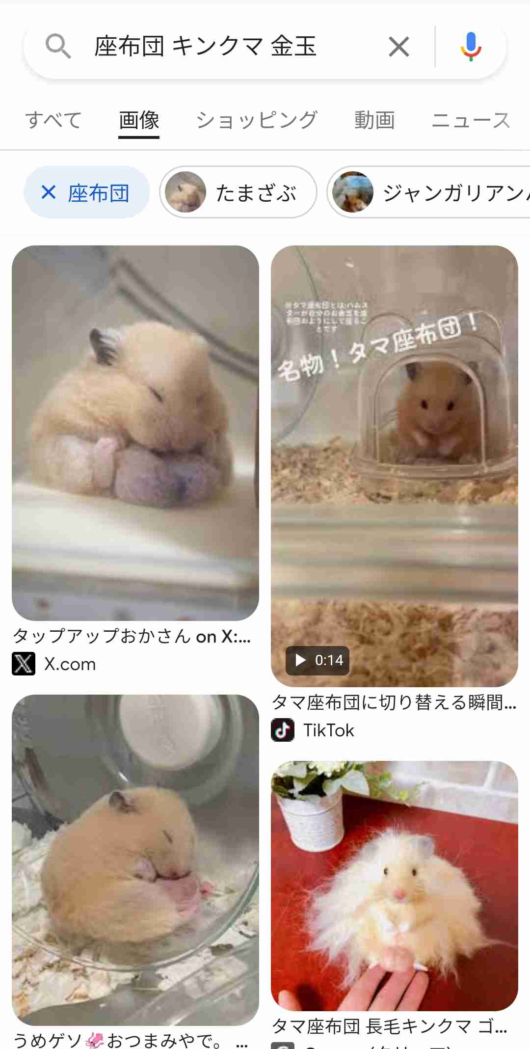 元気が出たガルちゃんのコメントpart3