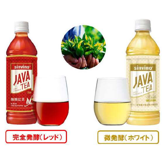好きなペットボトルのお茶