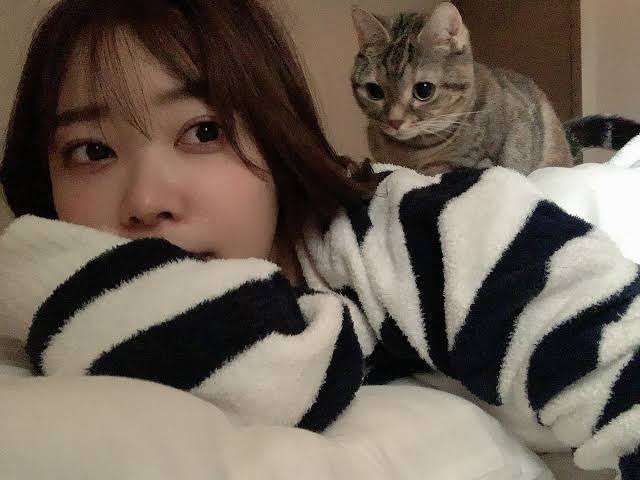 すり減った心を回復させる方法