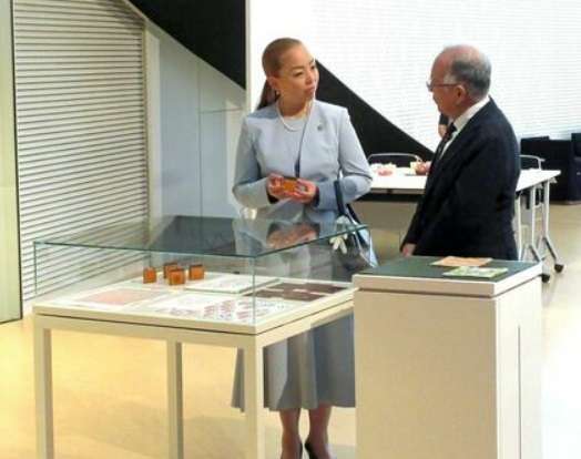 高見え服、安見え服