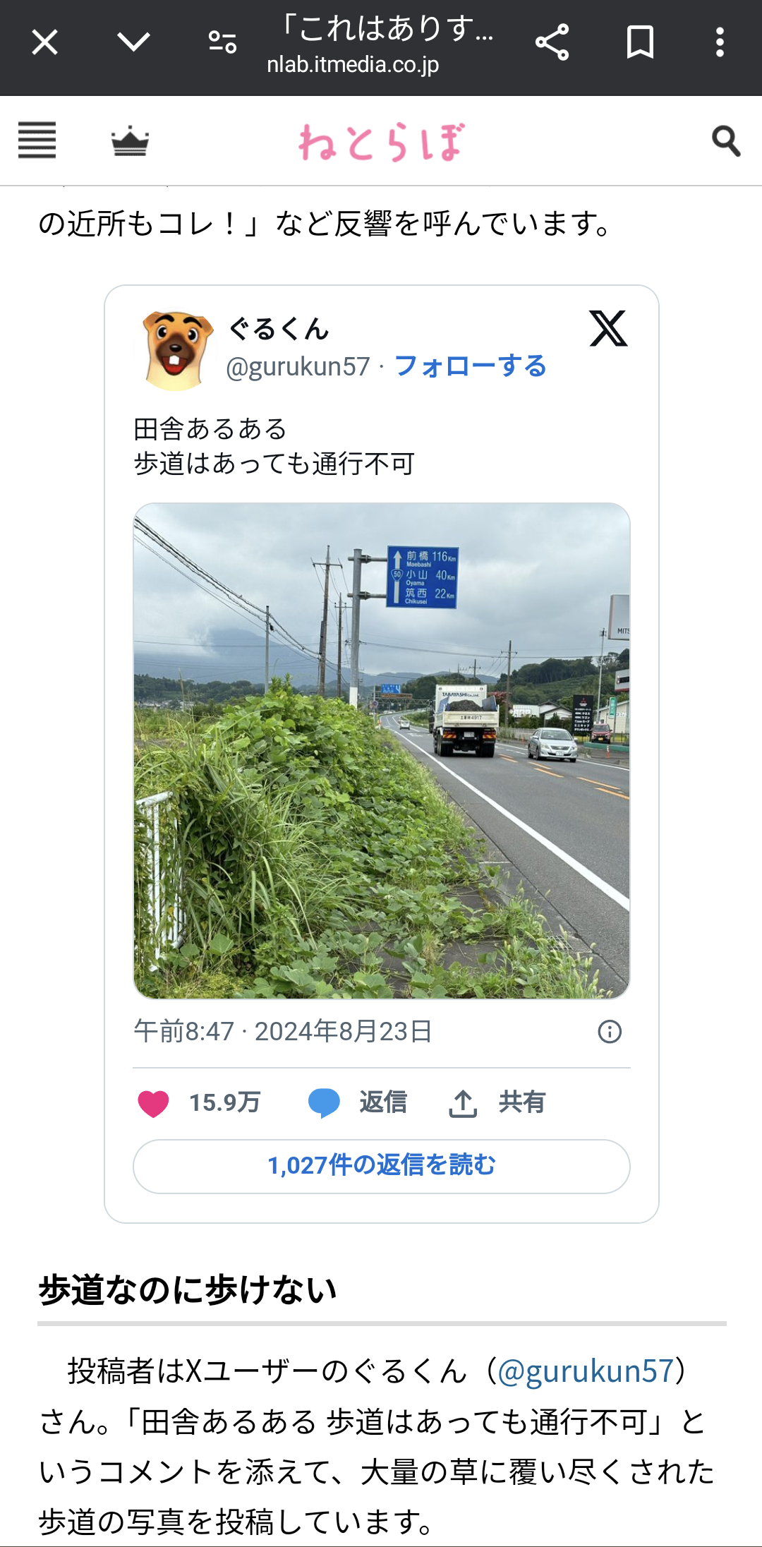 人間じゃないけど人間みたいな画像トピ
