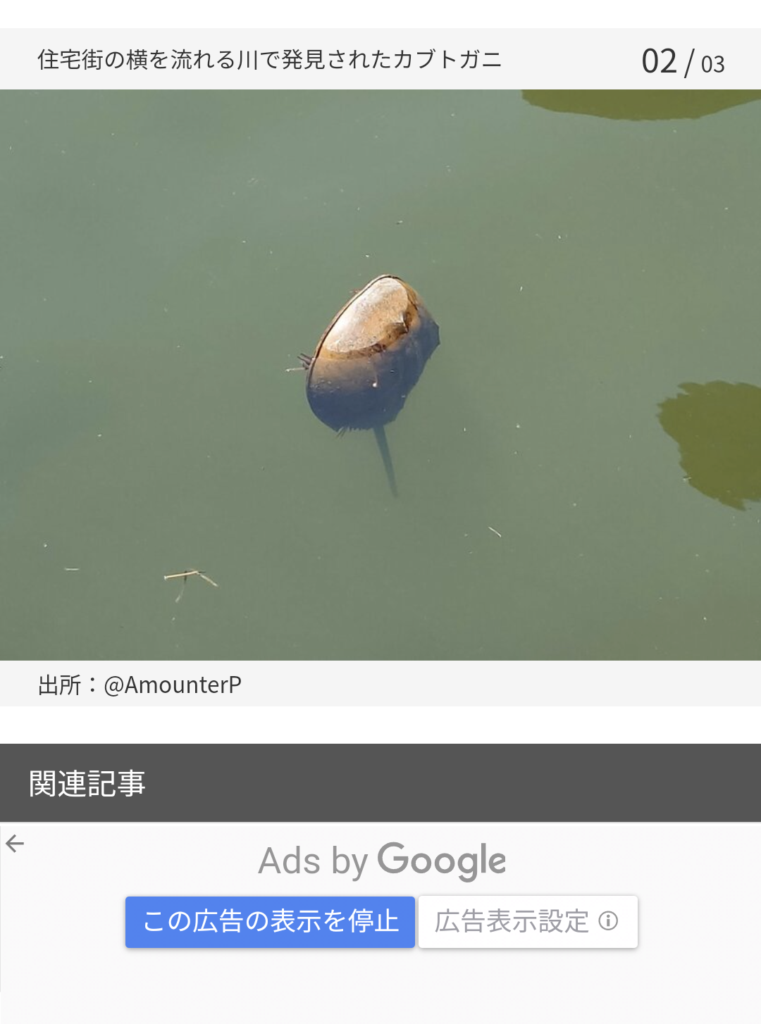 人間じゃないけど人間みたいな画像トピ